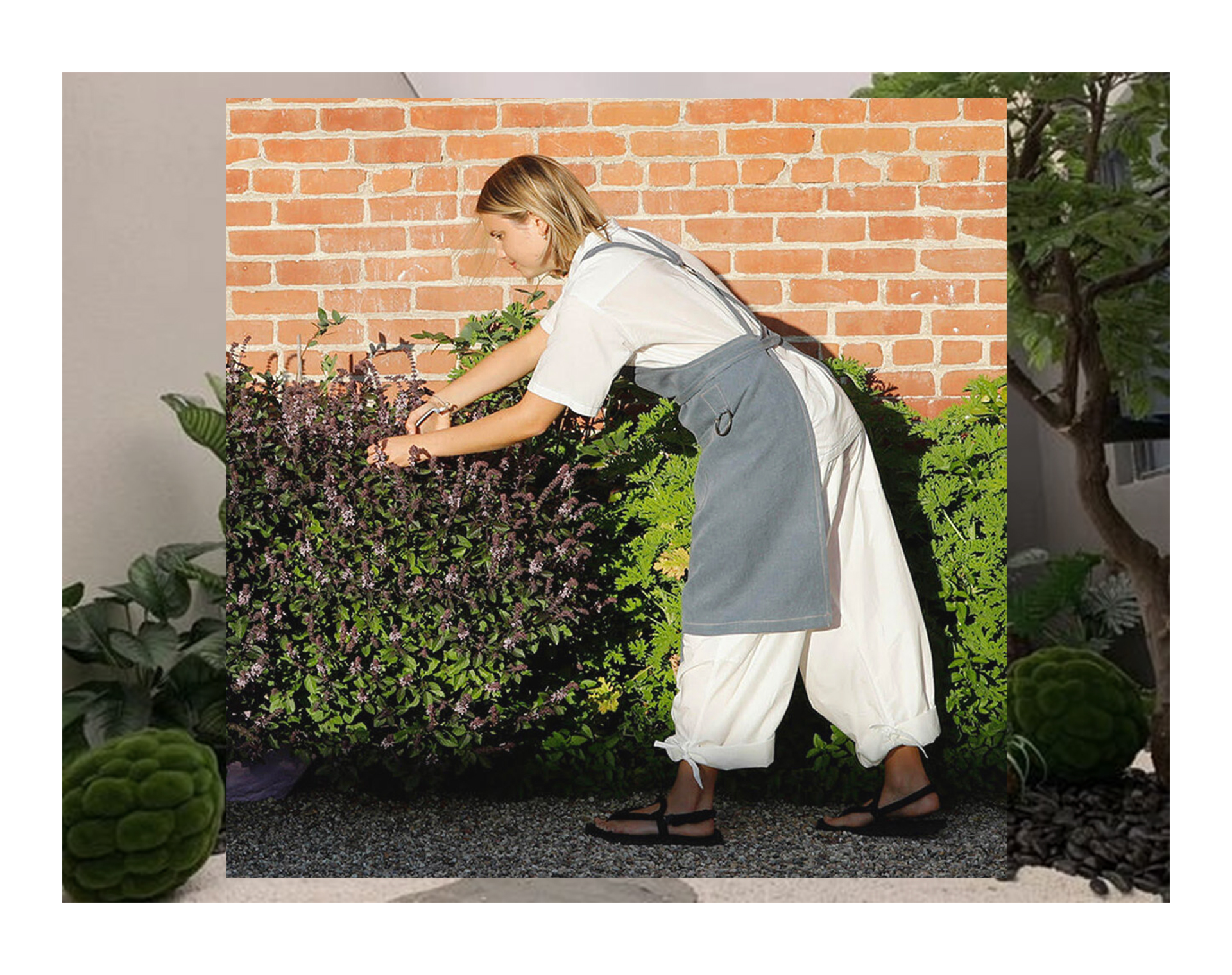 jentestore_fashion&gardening