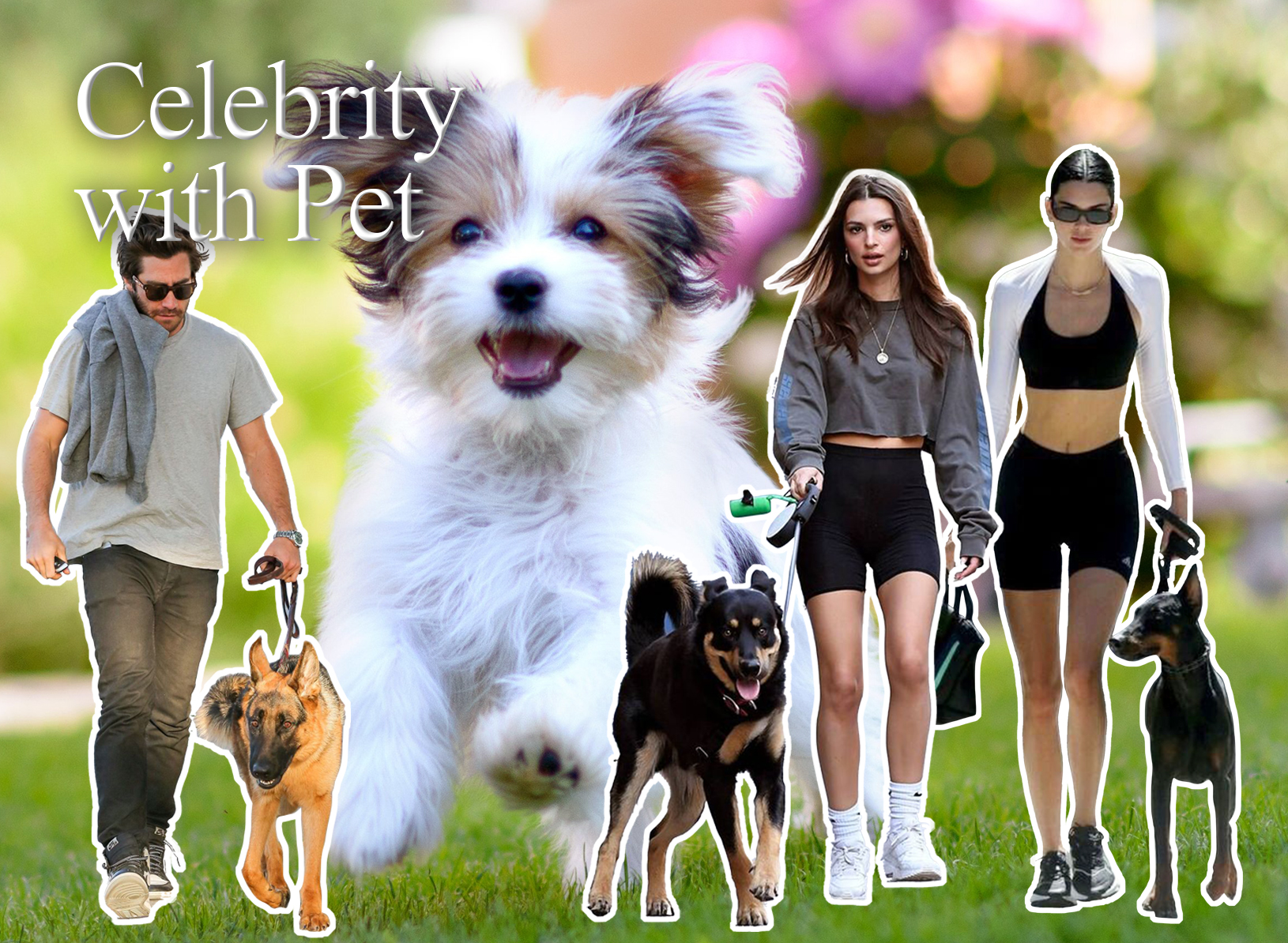 젠테스토어_Celebrity with pet