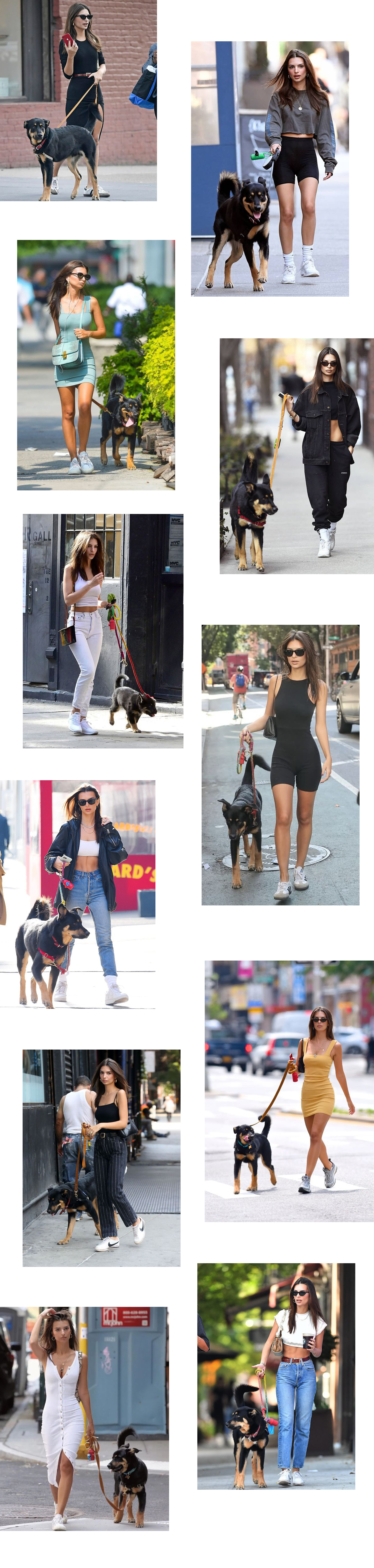젠테스토어_Celebrity with pet