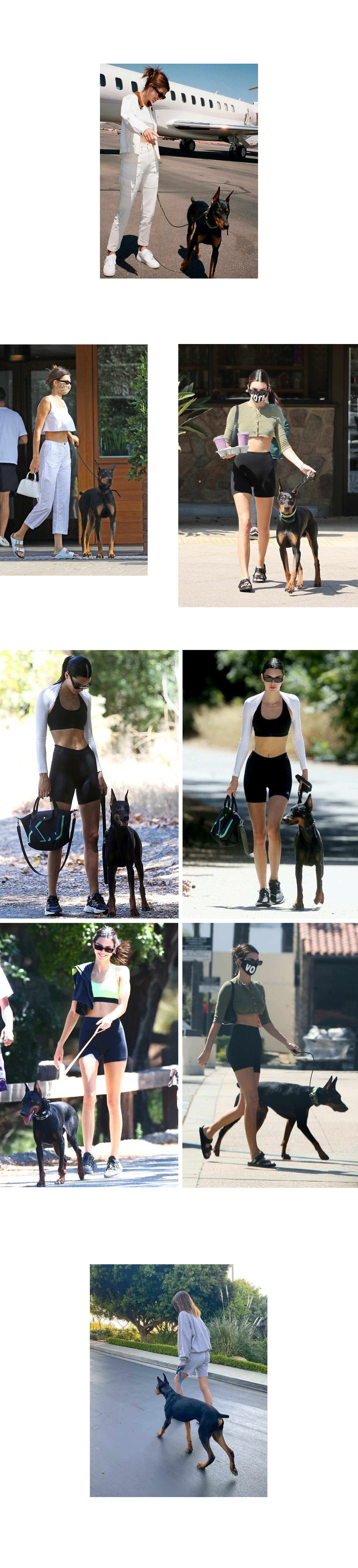 젠테스토어_Celebrity with pet